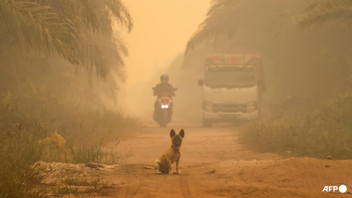 ‘Hazardous’ levels of air quality in parts of Indonesia’s Borneo