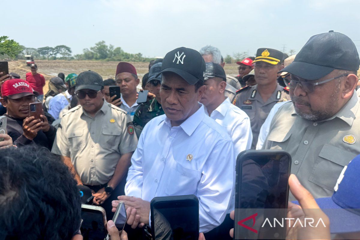 Agriculture Minister inspects Karawang rice fields to ensure planting continues despite drought