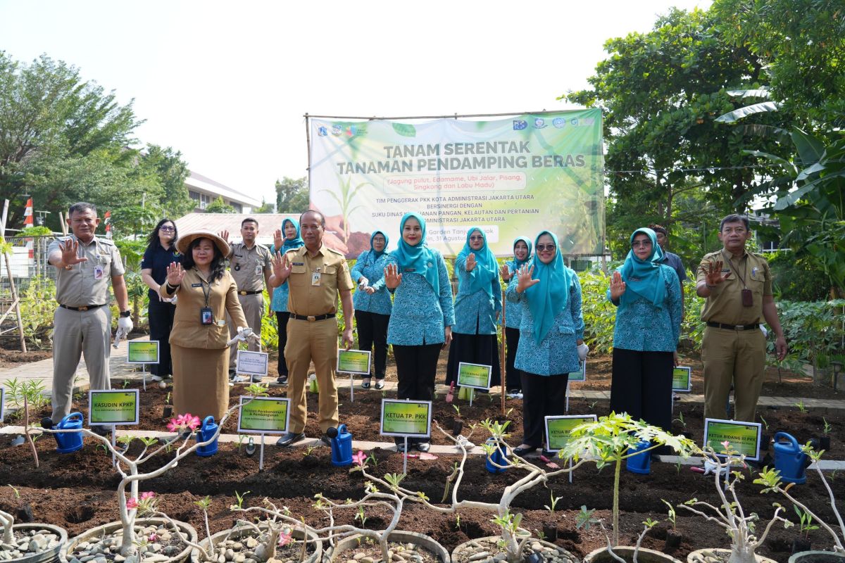 North Jakarta Administration Plants Rice-Alternative Food Commodities Across 70 Locations