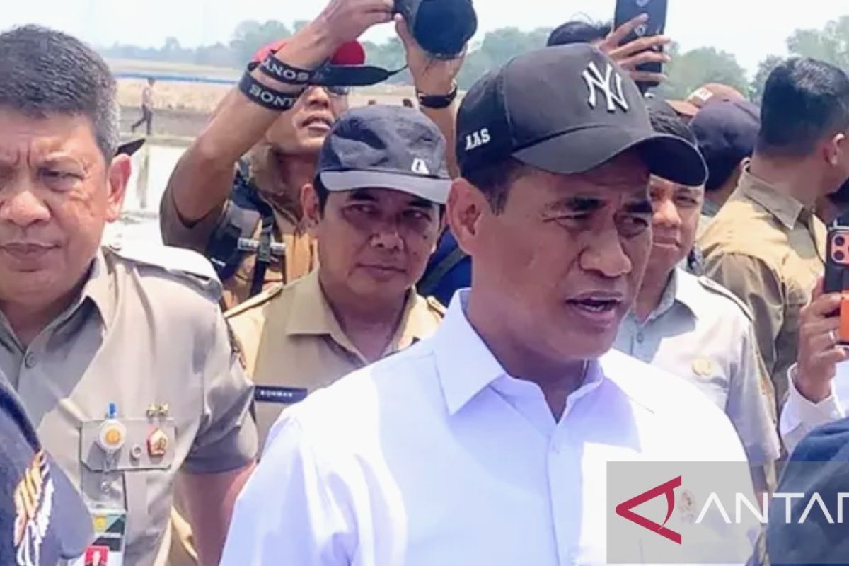 Minister of Agriculture inspects drought threats to Karawang rice fields