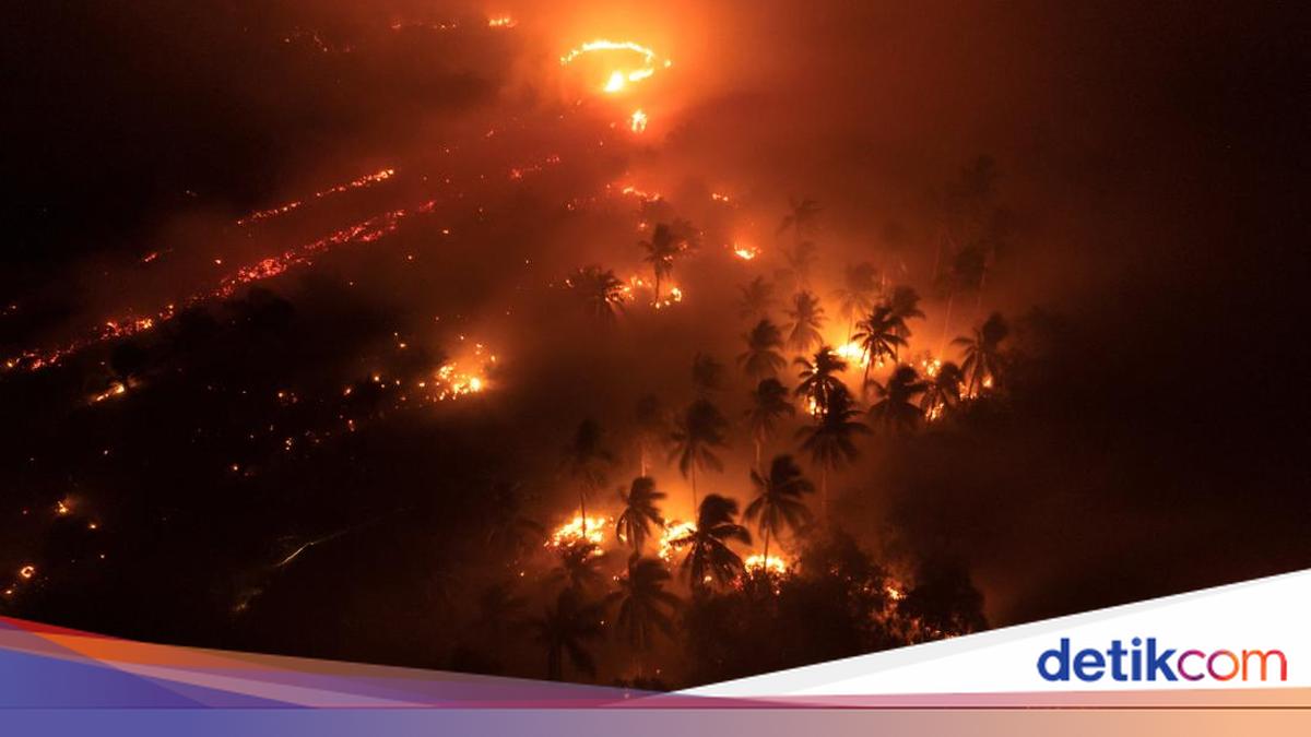 Three Helicopters from Japan to Arrive on 10 September to Assist in Forest Fire Management