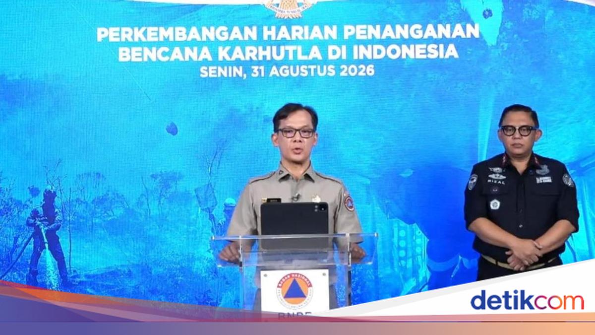 BNPB: Fire Spots Increase in Three Kalimantan Provinces, Visibility Reduced to 1-2 km