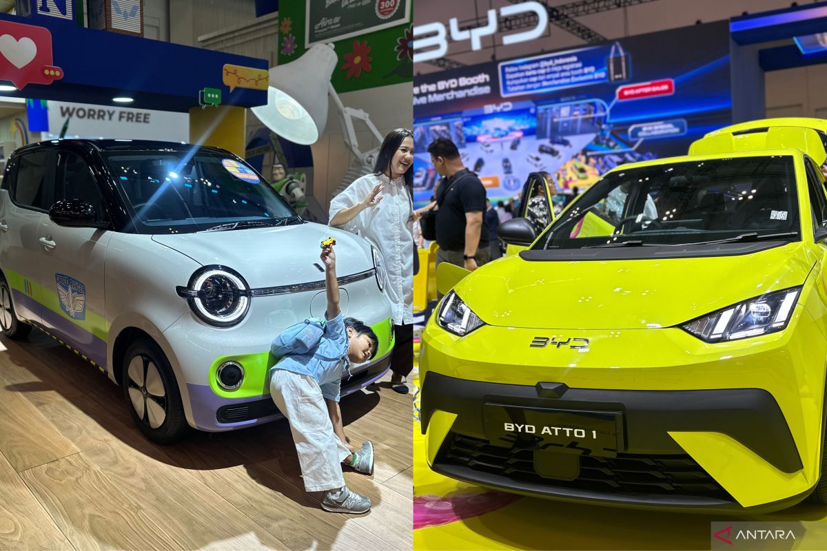 BYD faces sales decline amid export surge