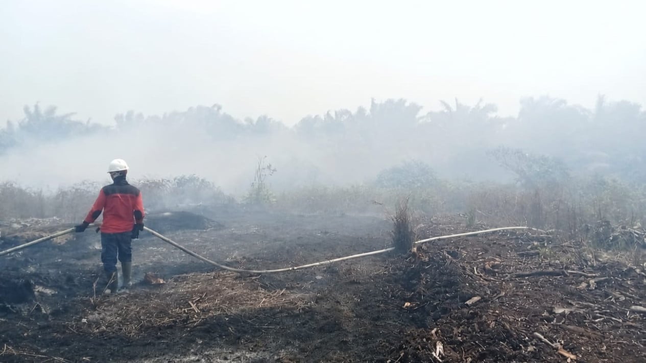 List of 9 National Parks Closed Amid Rising Forest and Land Fires