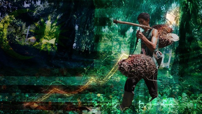 Foreign Media Suddenly Spotlight Indonesia's Strategy to Control Nickel and Palm Oil Prices