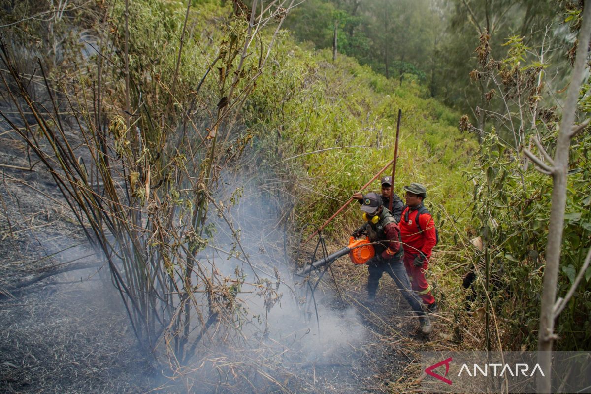 BNPB urges public to prevent forest and land fires, report any hotspots