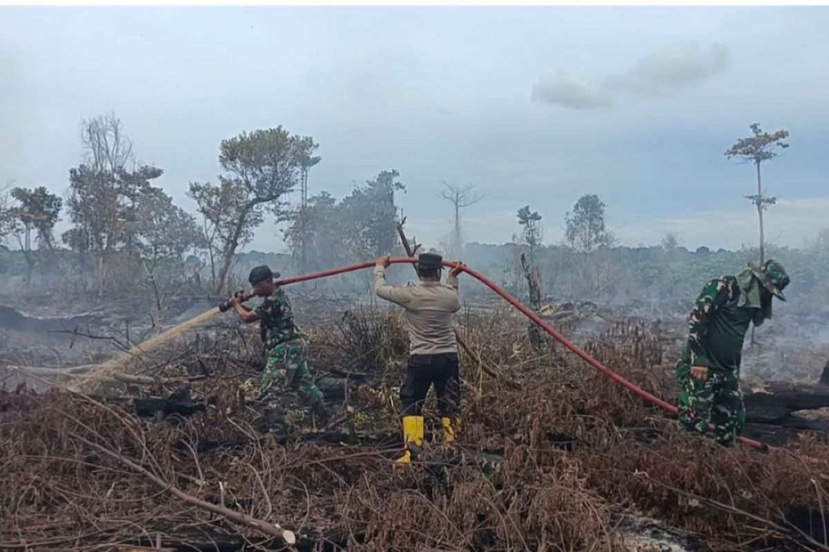 Joint team works to extinguish peatland fires in South Aceh