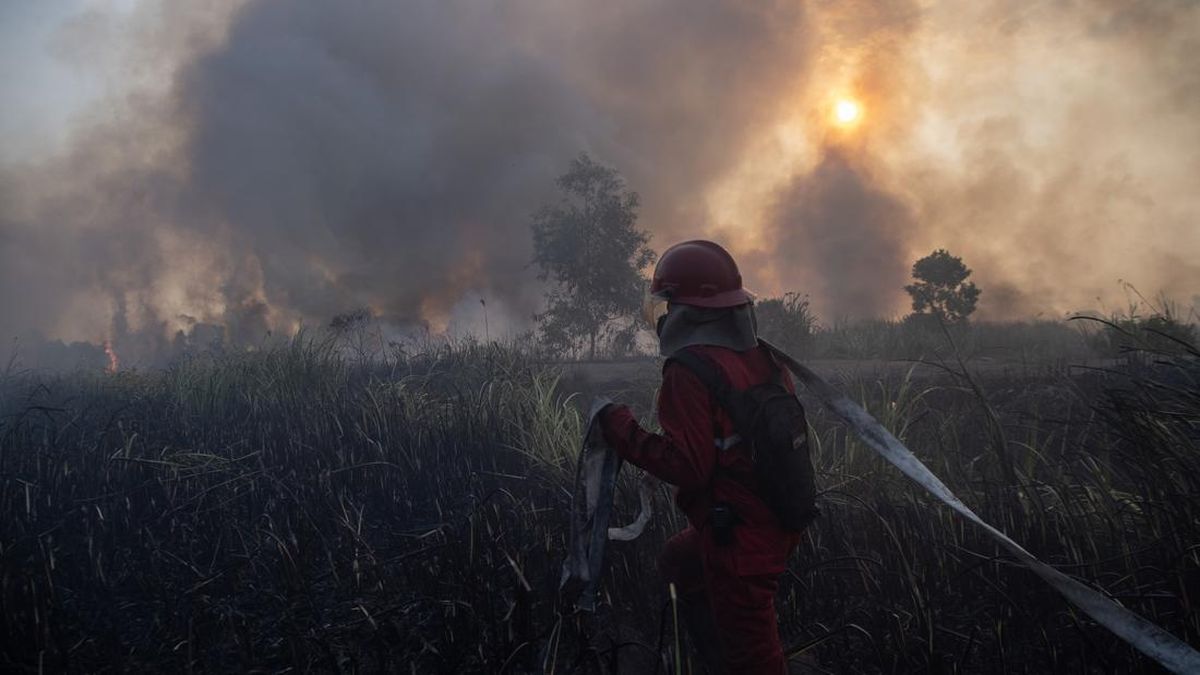 Forest Fire Update: Hotspots Rise in West Kalimantan, Decline in South and Central Kalimantan