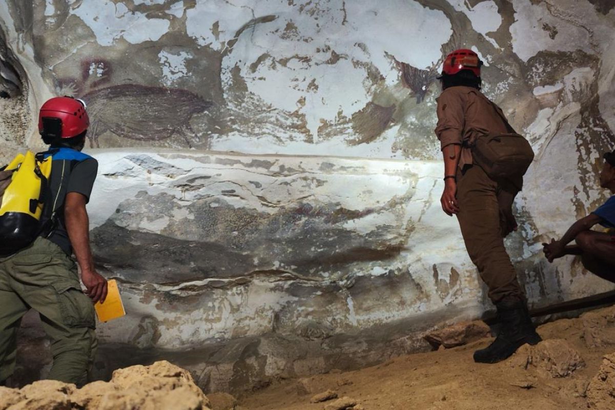 Archaeologists study 67,800-year-old figurative art in Sulawesi karst