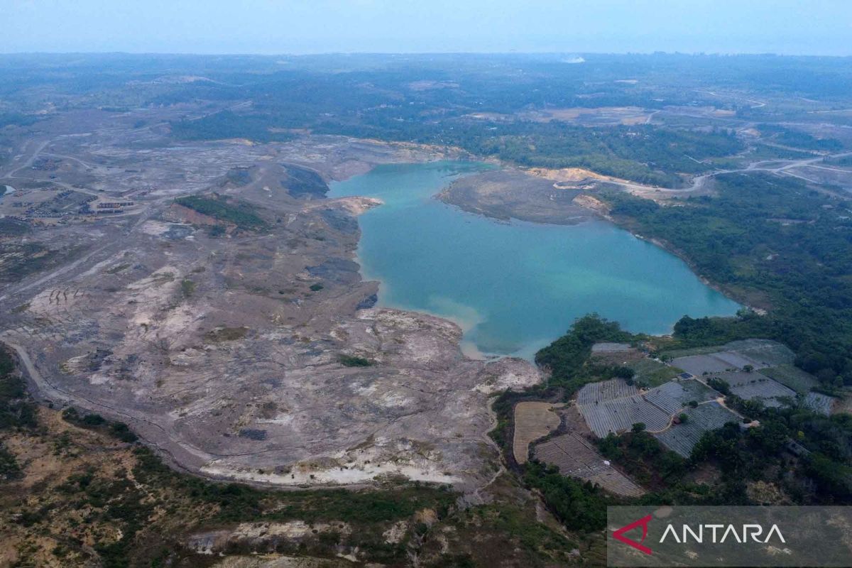PKH Task Force restores 111.71 hectares of forest area from illegal mining