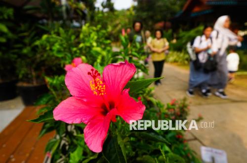 From Sumatra to Papua, Indonesia's Natural Wealth Featured at FLONA 2026