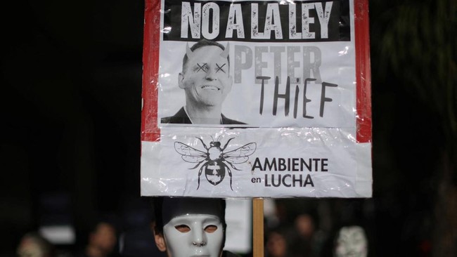 Masked Protesters Storm Oil and Gas Tycoon's Mansion in Argentina