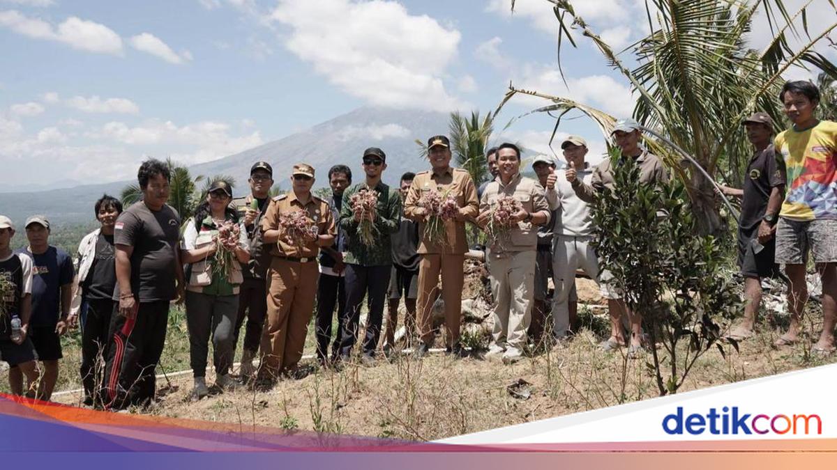 Water Flows, Subak Abian Farmers in Karangasem Harvest Shallots During Dry Season