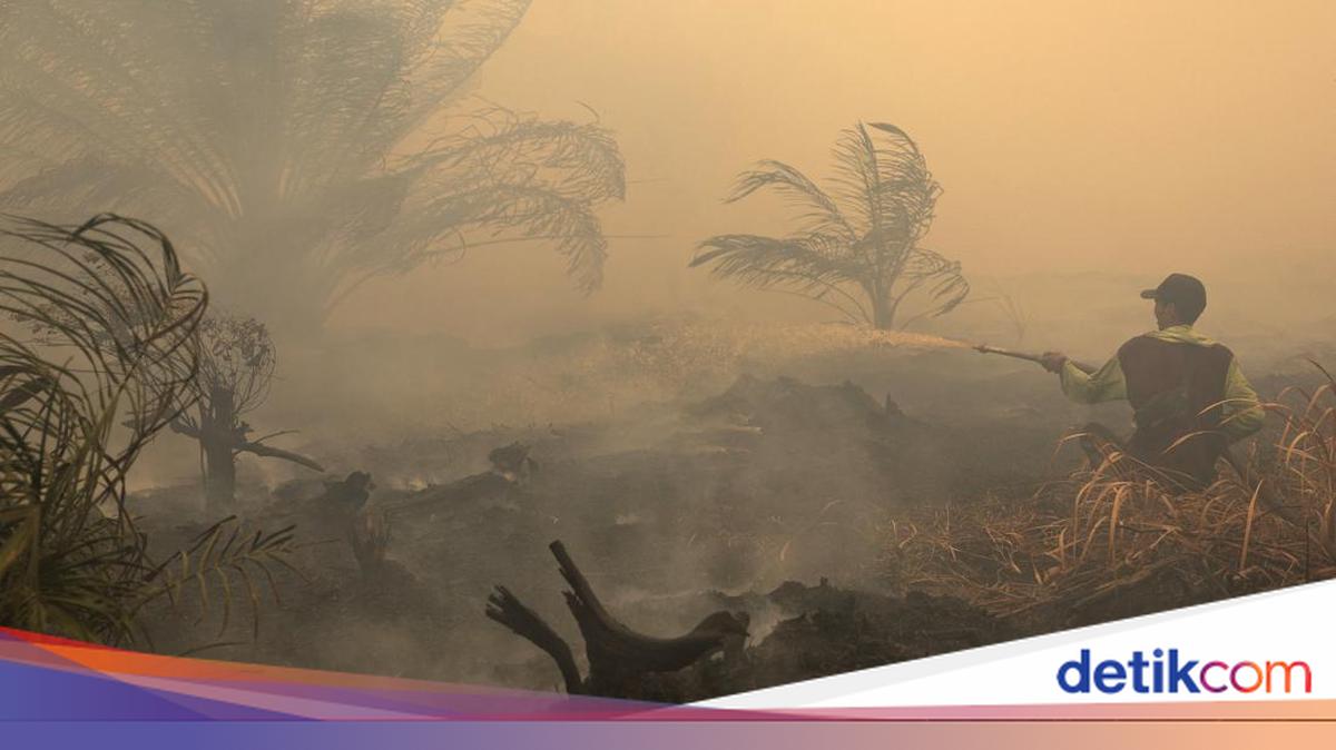 Indonesian Forest Fire Smoke Reaches Philippines, Air Quality Becomes Very Unhealthy