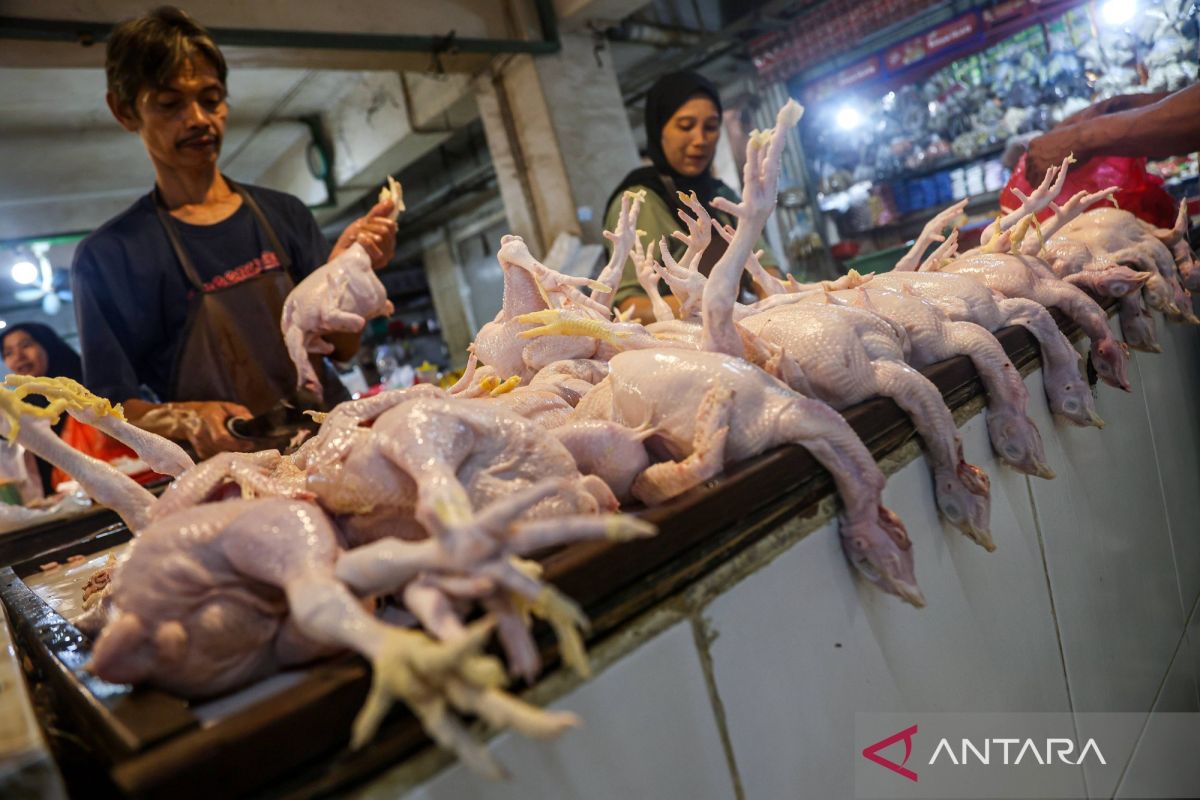 BPS: Monthly Inflation Reaches 0.21 Per Cent in August 2026