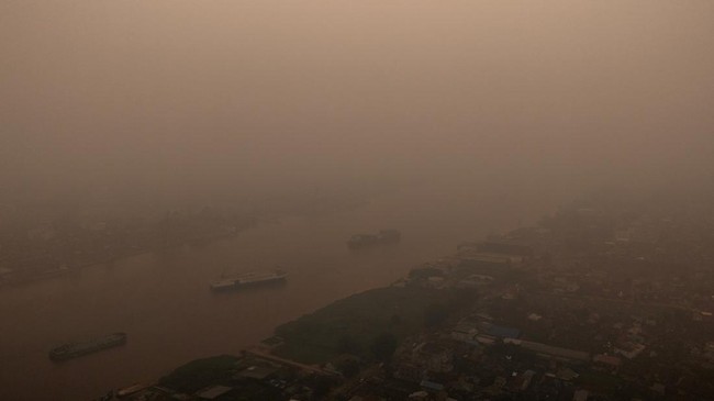 19 Companies Identified as Culprits in Indonesian Forest Fires, Causing Rp5.3 Trillion Loss to State