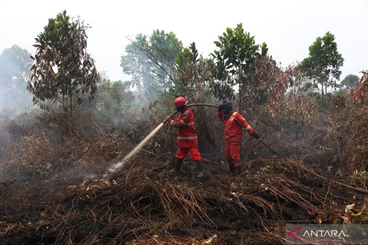 BRIN develops groundwater monitoring system to reduce forest fire risks