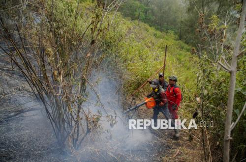 Officers Struggle to Extinguish Forest Fires on the Slopes of Mount Semeru
