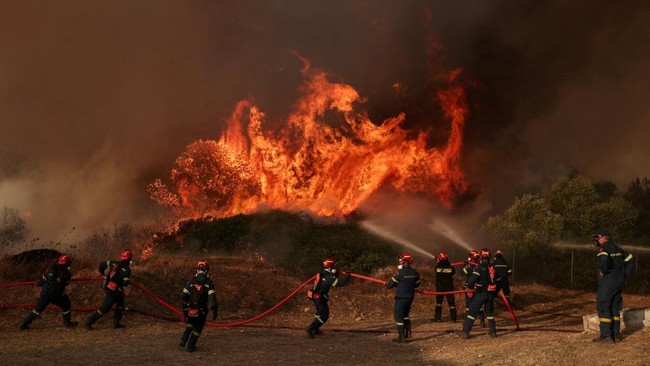 President Calls for Death Penalty for Forest Arsonists