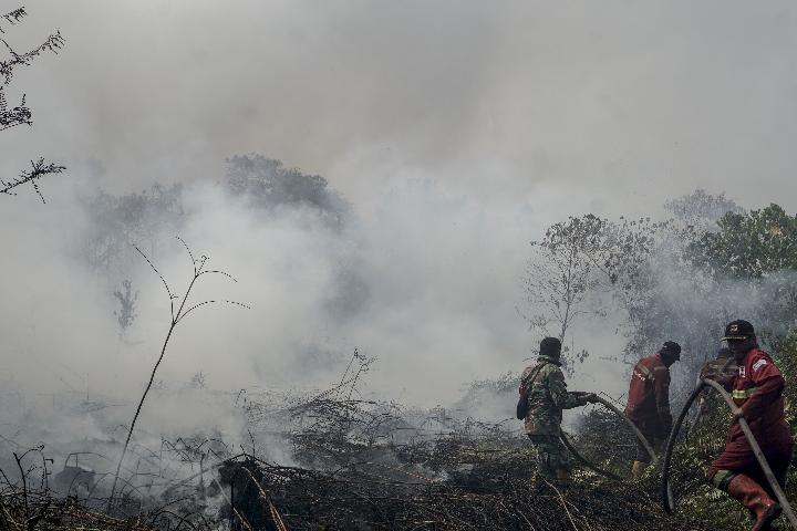 Indonesia Forest Fire Suspects Rise to 89
