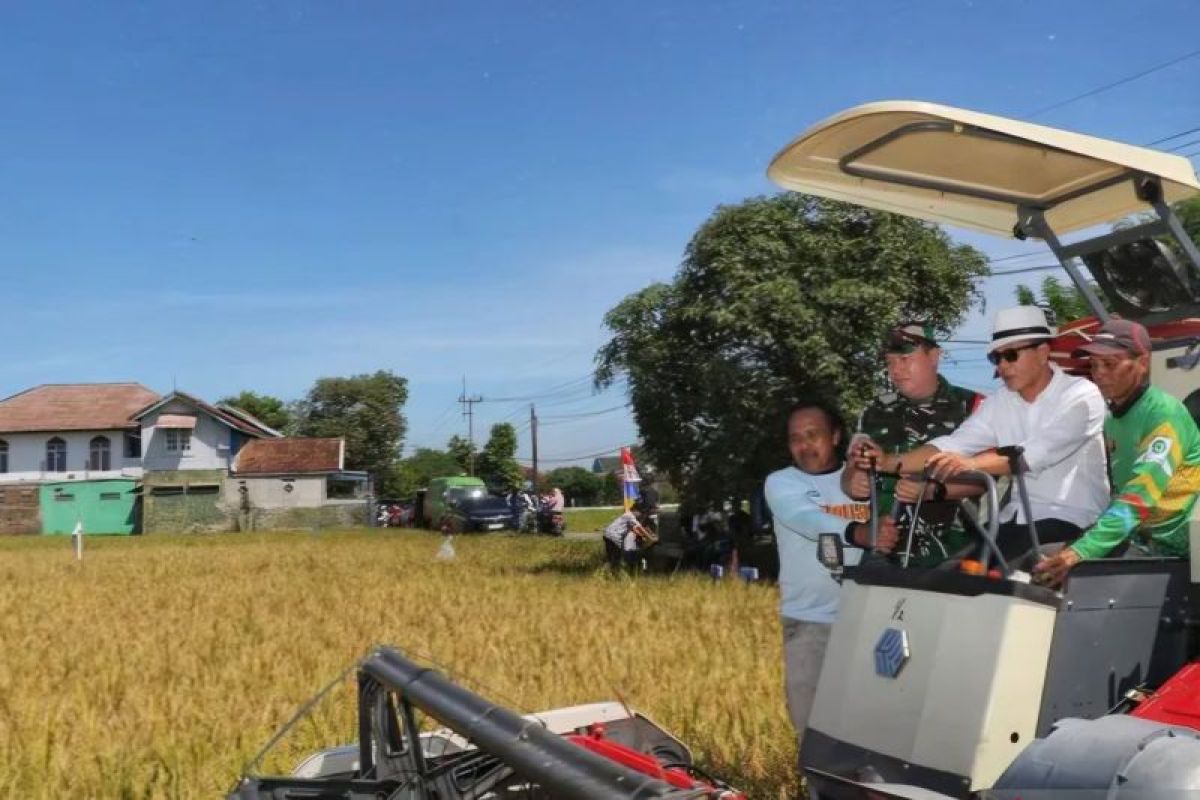 Bandung Regency aims to designate 24,200 hectares of paddy fields as sustainable farmland to protect farmers
