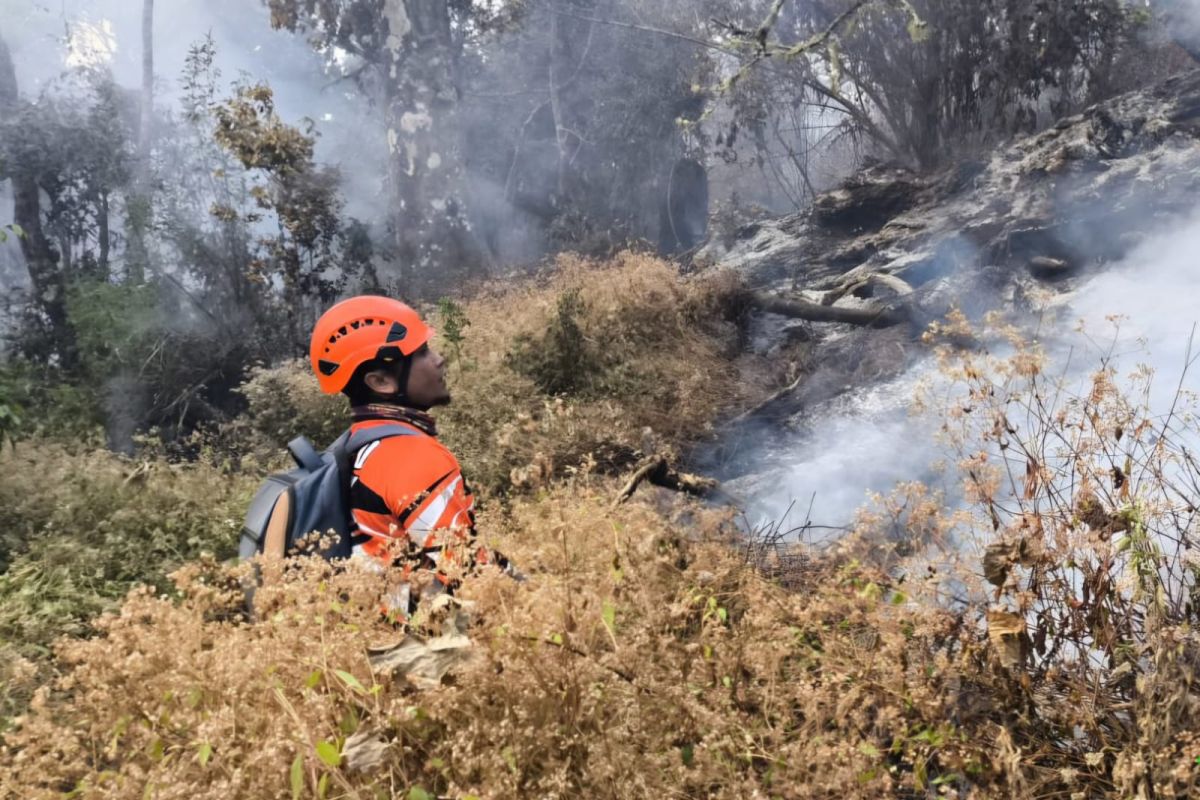 Joint Task Force Tackles Forest Fire at Mount Butak, East Java