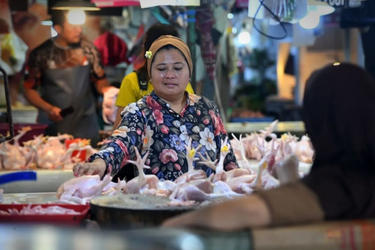 Bank Indonesia and Government Strengthen Food Inflation Control Strategies