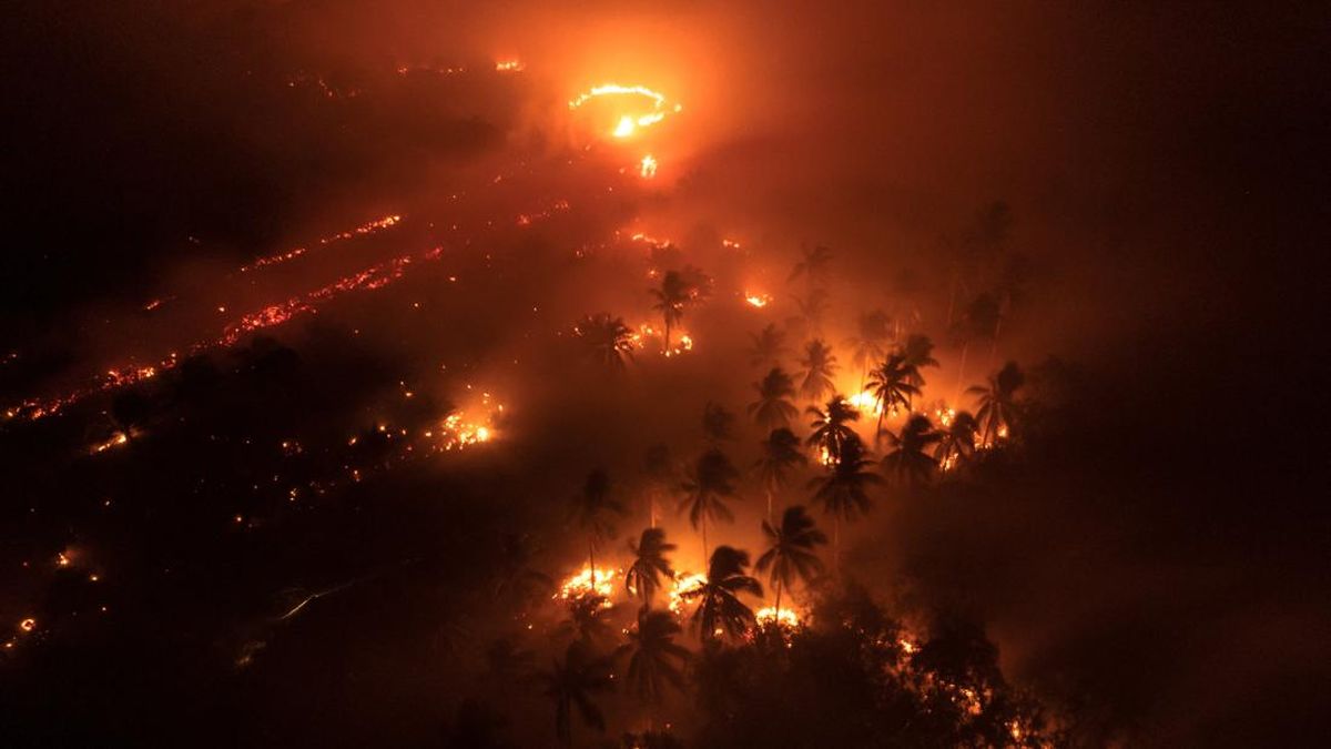 BMKG Detects 119 Hotspots in Aceh, Most Concentrated in South Aceh
