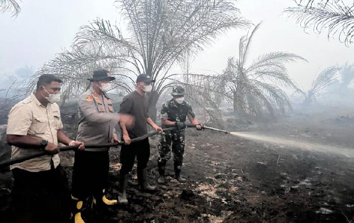 BPBD: Sumedang Records the Most Forest Fires in West Java