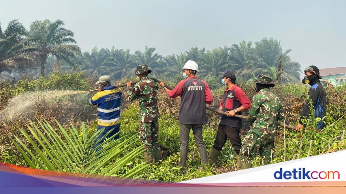 Cross-Sector Synergy Essential for Forest and Land Fire Management in North Kayong