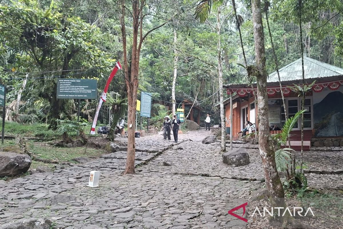 TNGGP extends closure of Mount Gede climbing routes
