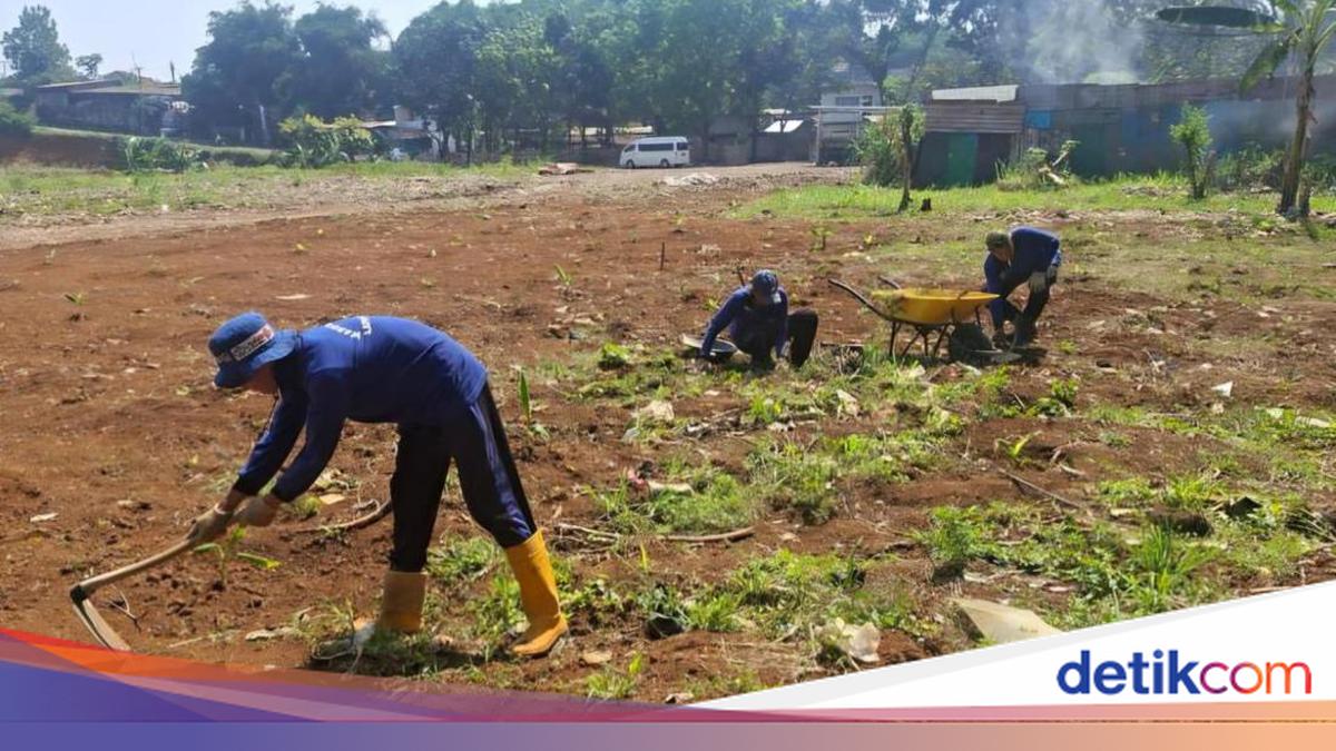 Bogor Prison Converts Idle Land into Productive Farmland