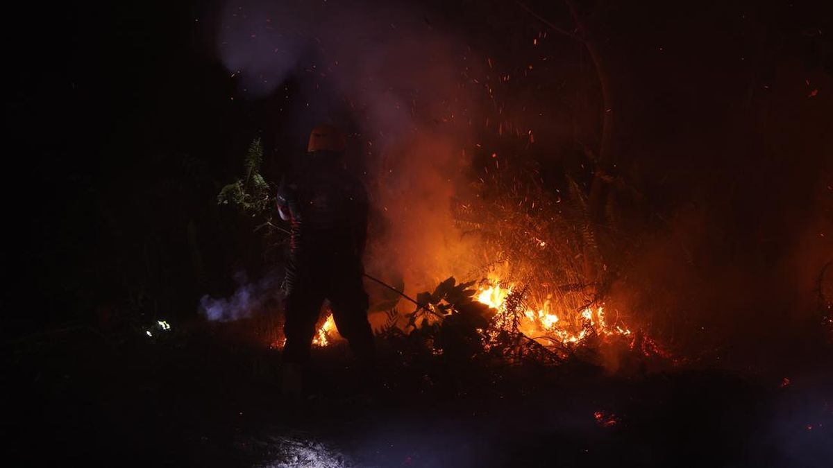 BNPB: 30 Hotspots Still Burning in West Kalimantan