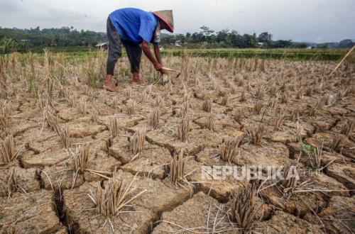 474 Villages in West Java Facing Drought, Affecting 647,000 Residents