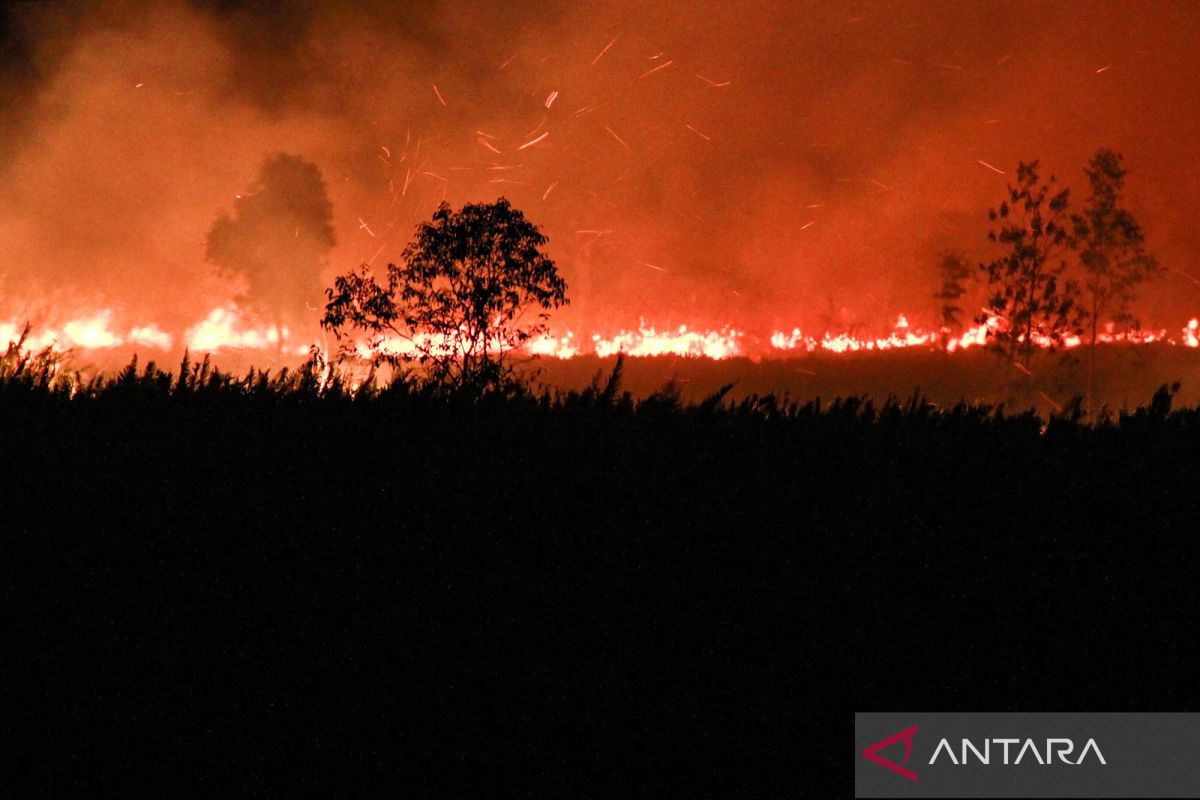 Central Kalimantan police name 23 suspects in 19 wildfire cases