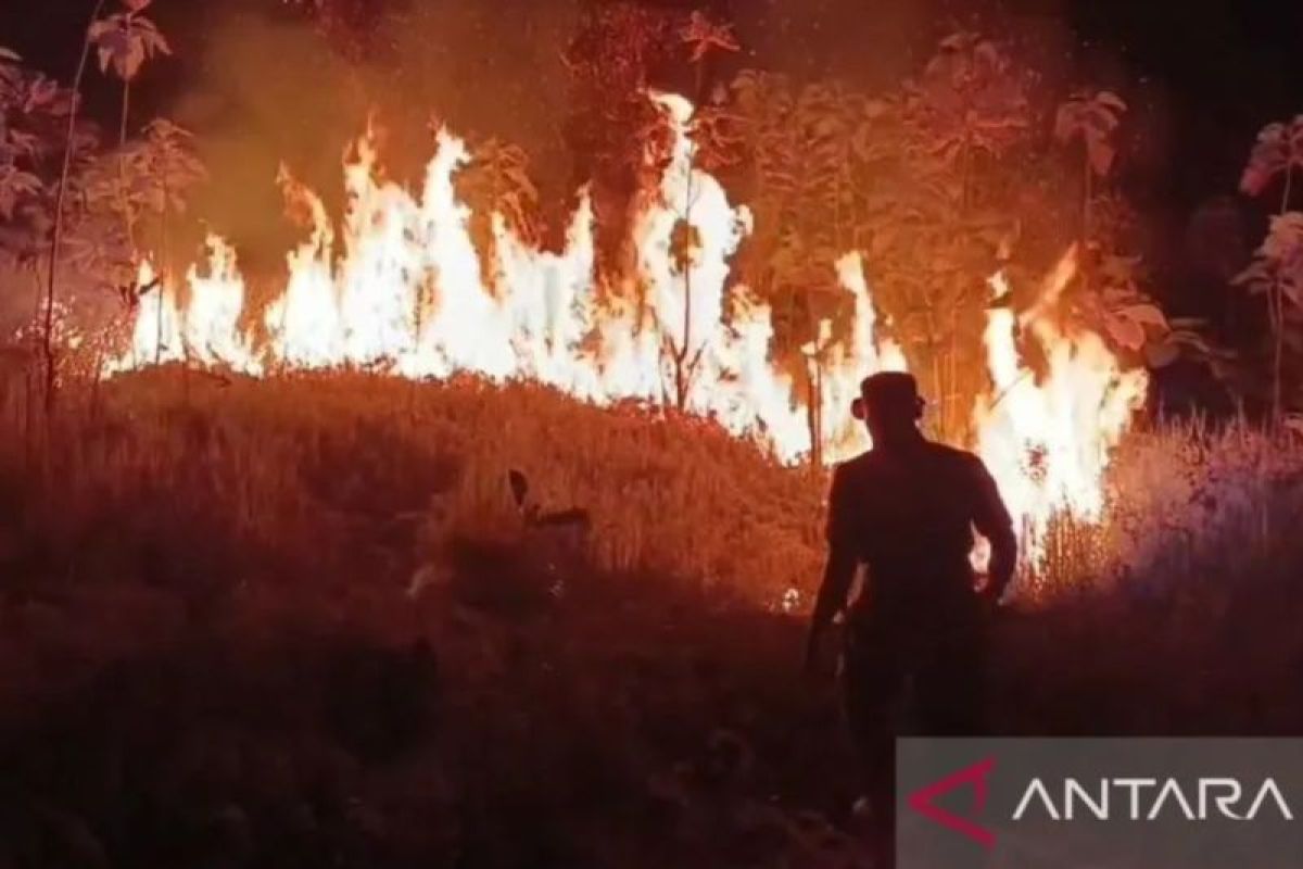 KDM requests suspension of mountain climbing activities amid rising forest fires