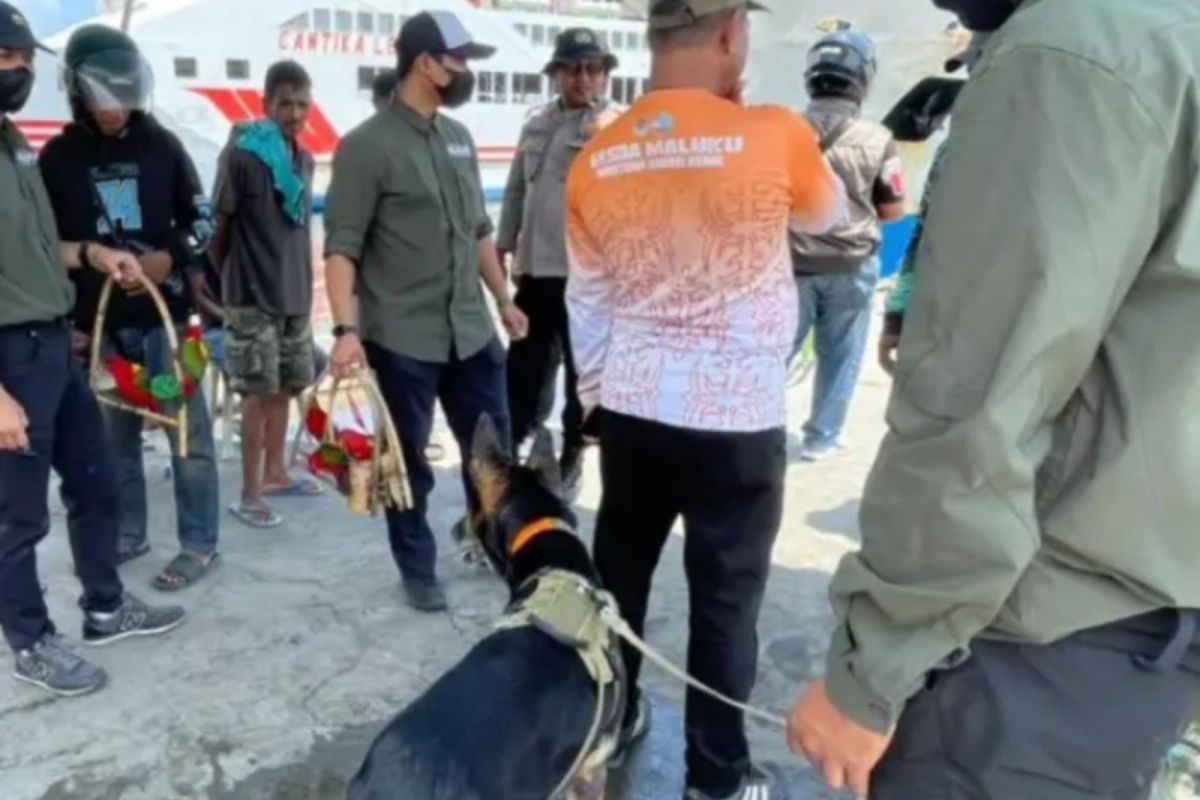 Maluku BKSDA Secures Five Ternate Kasturi Birds During WDD Trial