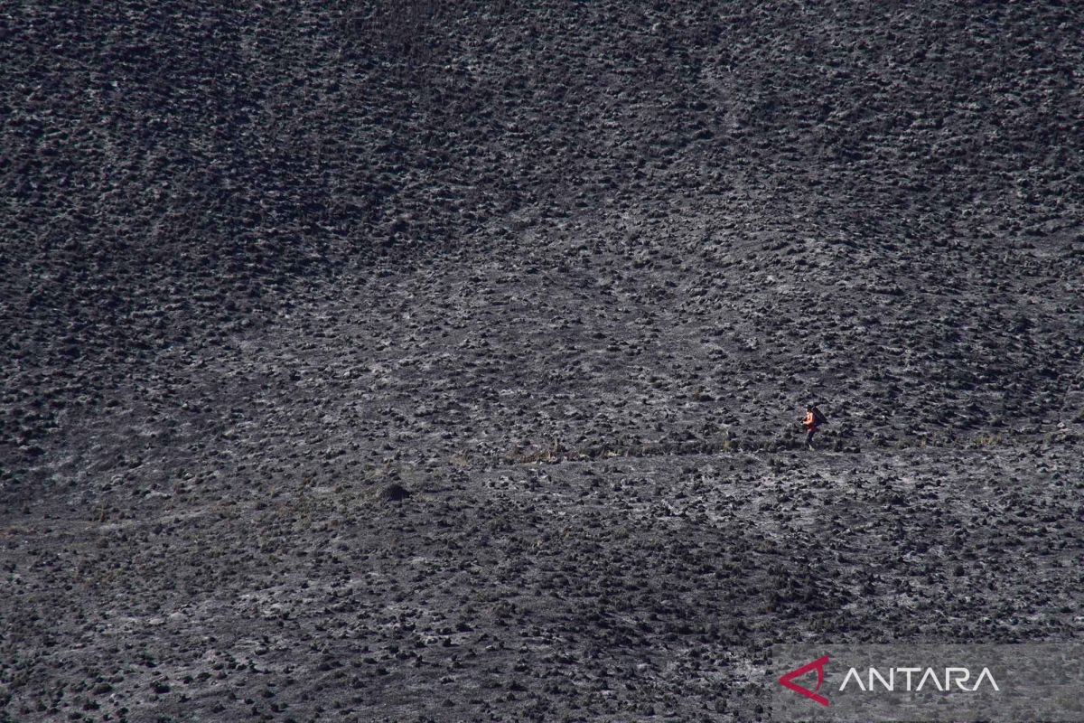 Approximately 590 hectares of area affected by fires in TNBTS, here is the appearance