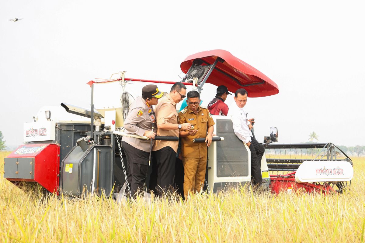 Governor states PM-AAS method boosts rice harvests in Banten