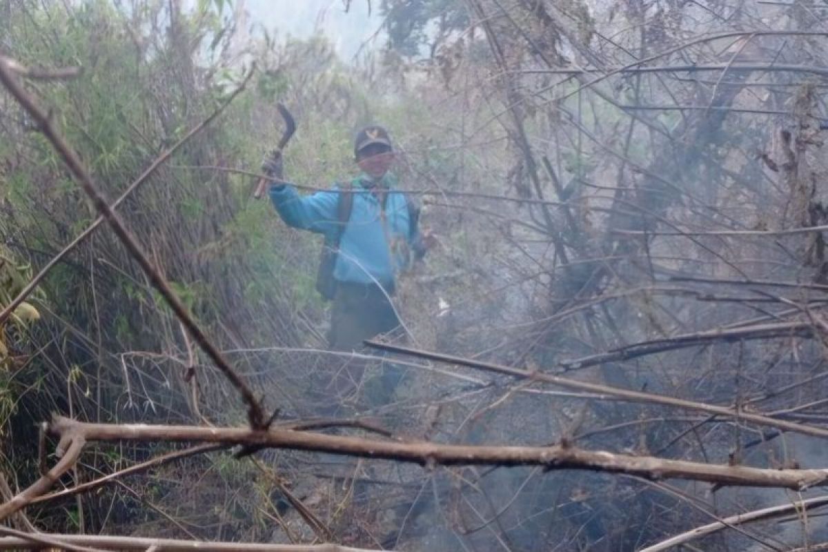 Perhutani: Fire in Mount Butak area successfully extinguished
