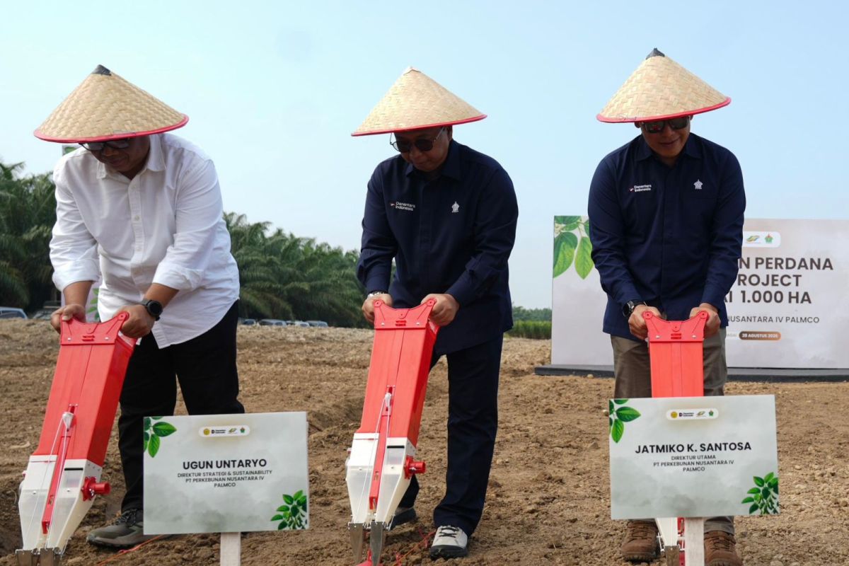 PTPN IV PalmCo Launches 1,000-Hectare Soybean Pilot Project