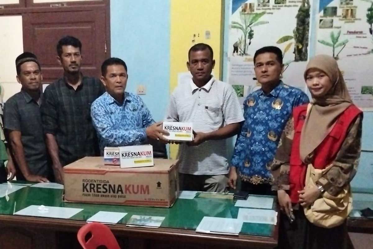 East Aceh Regency distributes pesticides to combat rice pest attacks