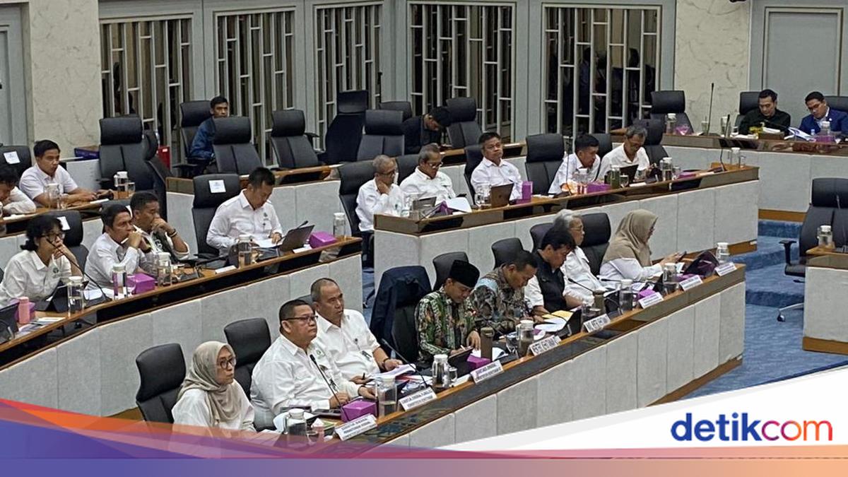 PDIP Legislator Criticises Forestry Ministry Budget for Lacking Forest Fire Prevention Focus