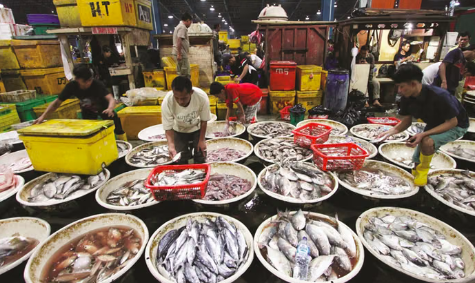 Trader Retribution Fees at Kramat Jati Fish Market Relocation Site Officially Waived