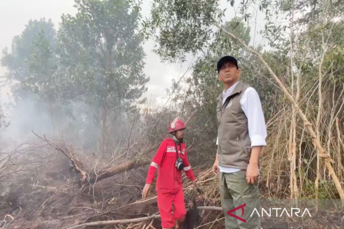 President Prabowo closely monitors wildfire response, minister says