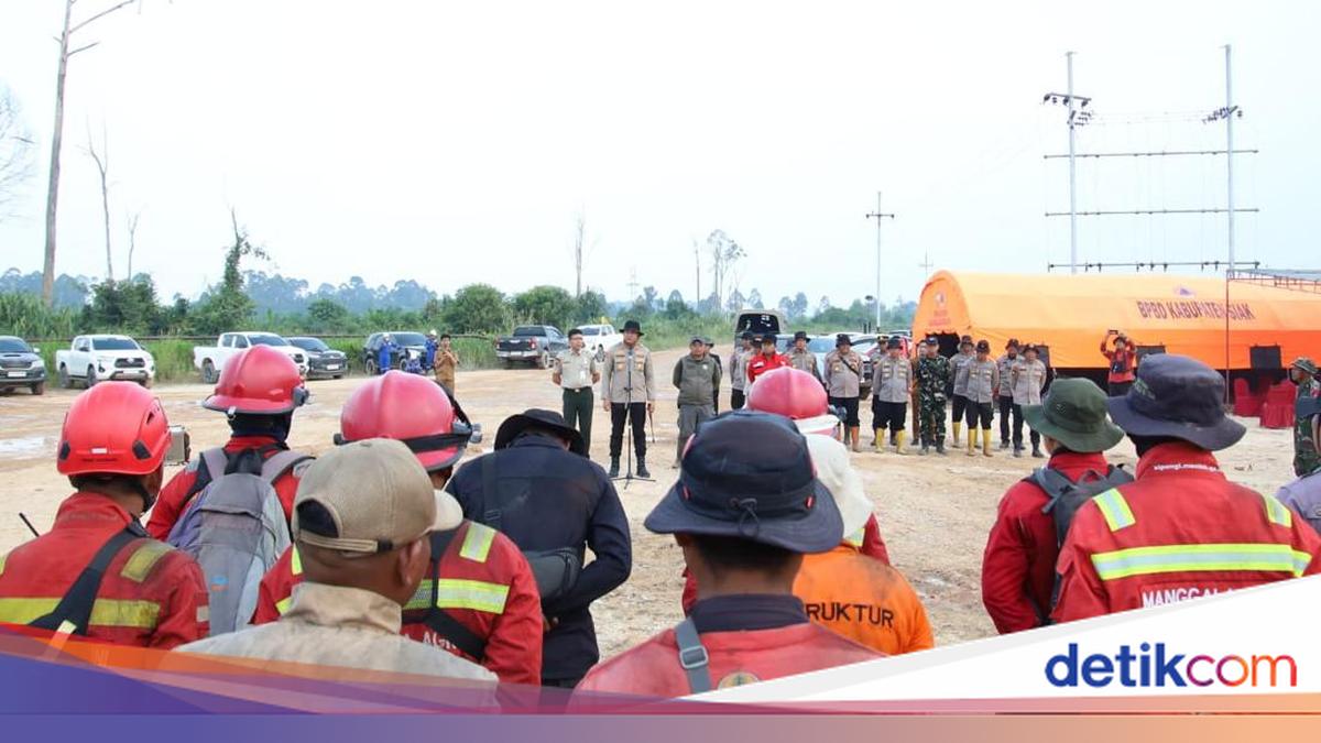 Forest Fires Near Zamrud National Park Extinguished After Seven Days, Suppression Operation Ends