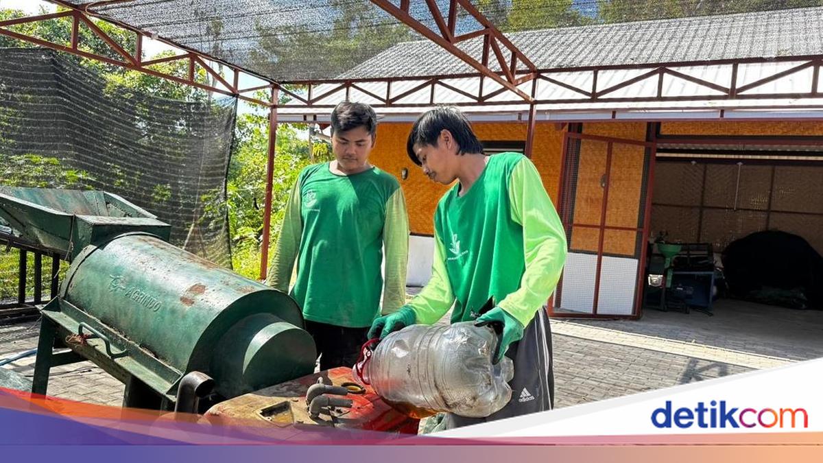 Island Compost Centre Established in Kura Kura Bali SEZ, 9.8 Tonnes of Organic Waste Processed