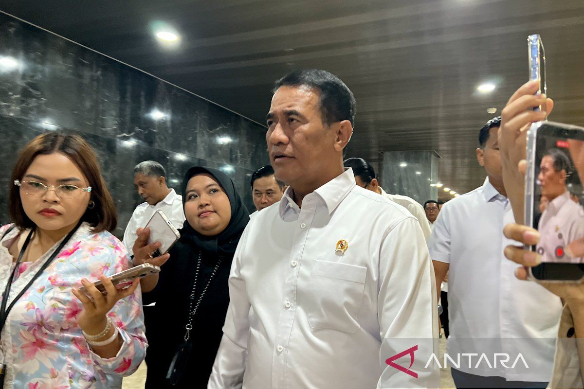 NTT earthquake: Indonesia steps up food aid, farm recovery