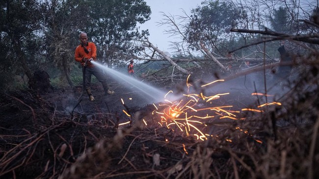 Ministry of Environment Monitors 19 Companies Linked to Forest Fires, 11,046 Hectares Burned