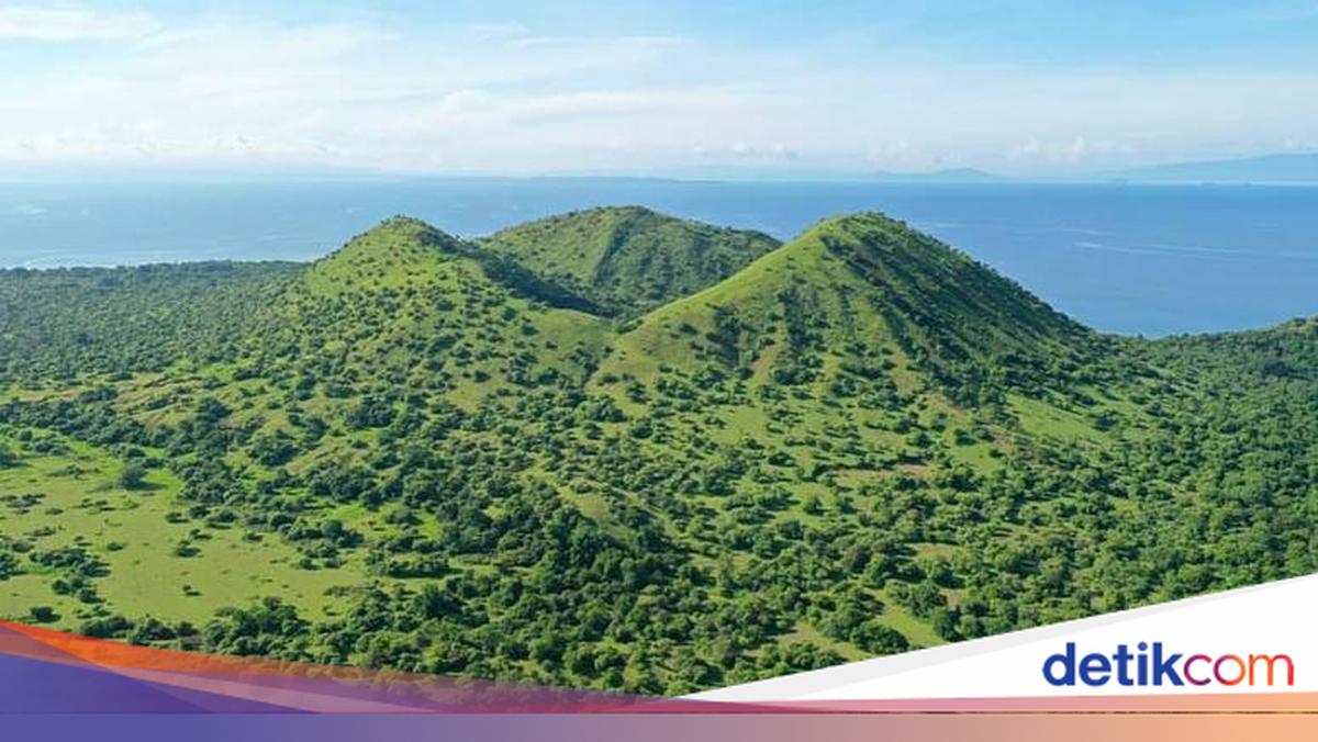 Mount Tambora Climbing Routes Temporarily Closed to Prevent Forest Fires
